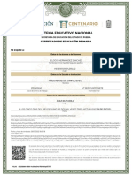 Certificado Primaria Digital56456876978