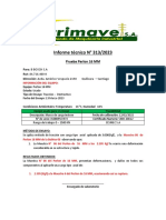 313-2023 Informe Perlon