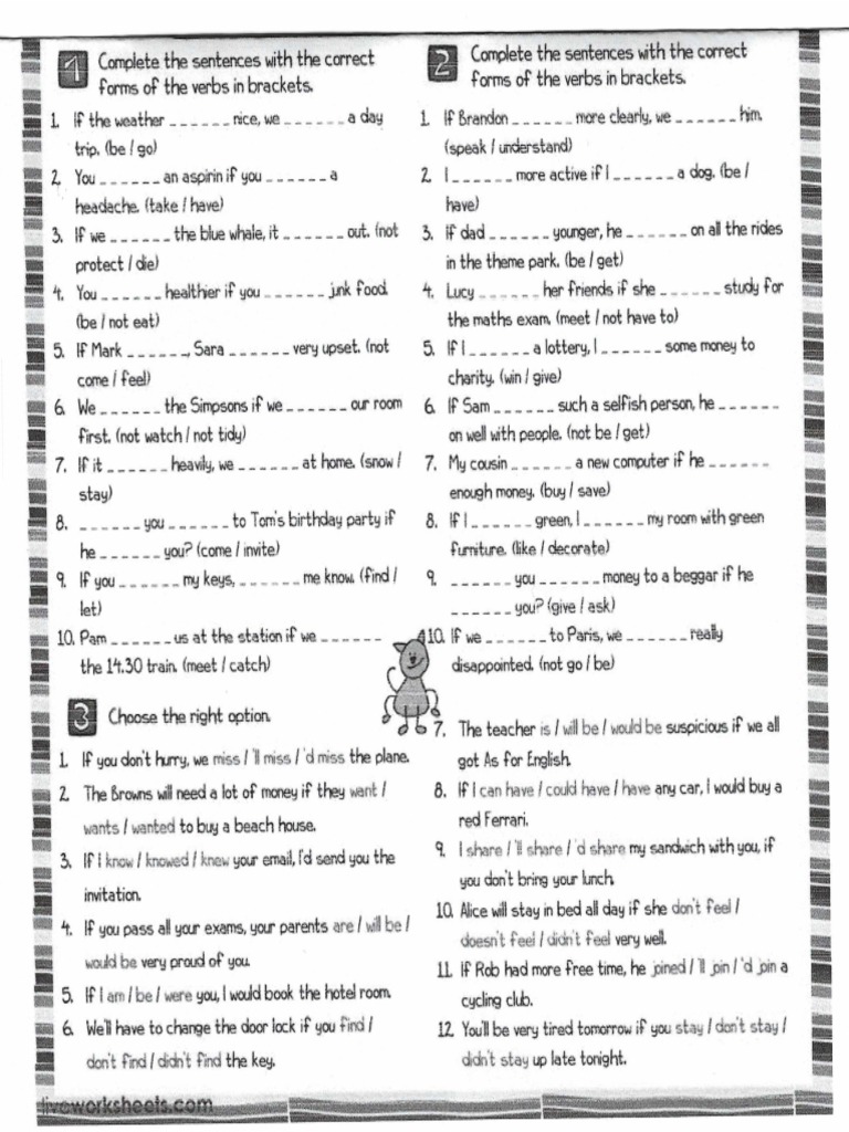 Conditionals Practice | PDF