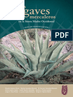 Agaves Mezcaleros - IPN - 2023