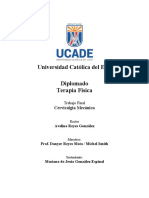 Trabajo Final Diplomado Terapia Fisica V2