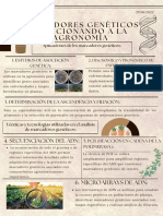 Poster Científico Llamativo Periódico Vintage Marrón