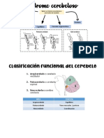 SX Cerebelosos