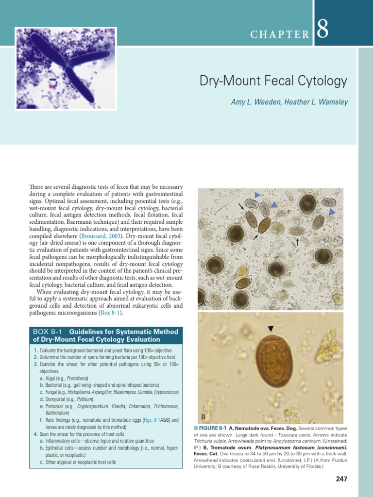Chapter 8 DryMount Fecal Cytology PDF
