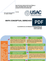 Mapa Conceptual DDHH Alejandra Camargo.