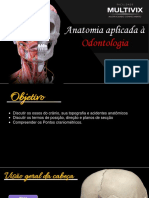 Osteologia Da Cabeça