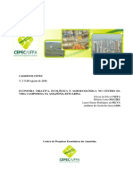 009 Economia Criativa (Cepec-Ufpa)