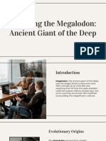 The Megalodon