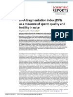 Dna Fragmentation Index (Dfi) As A Measure of Sperm Quality and Fertility in Mice