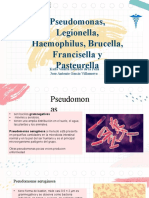  Pseudomonas, Legionella, Haemophilus, Brucella, Francisella y Pasteurella