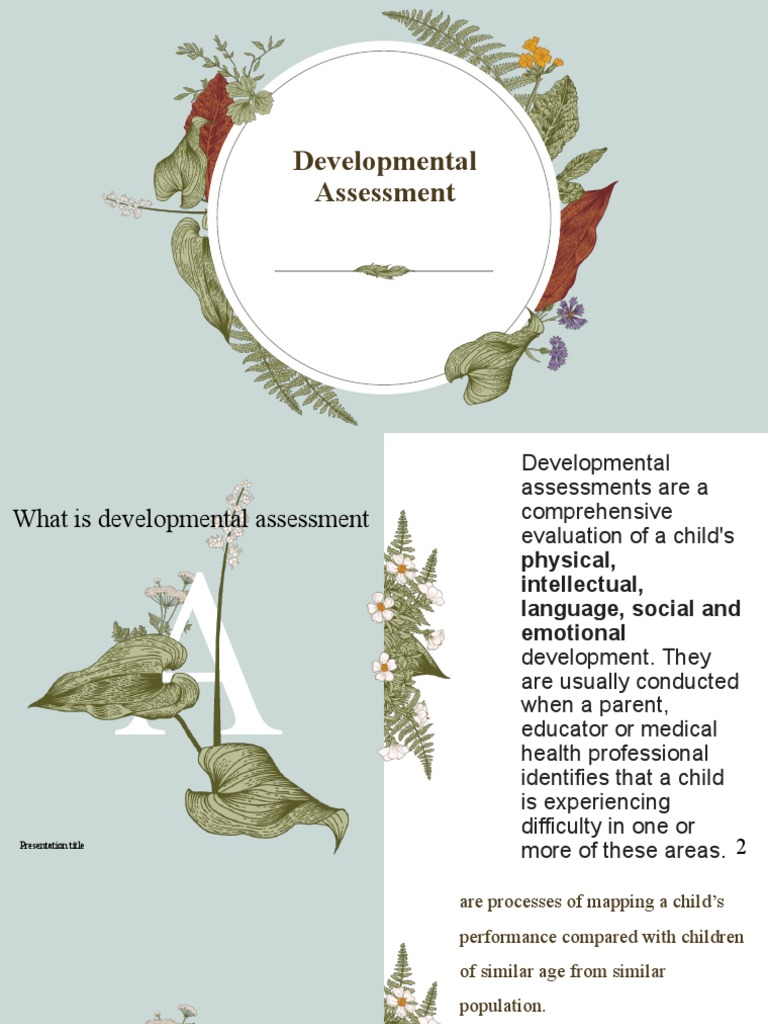 Developmental Assessment | PDF
