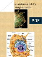 Curs Fizio 1x5