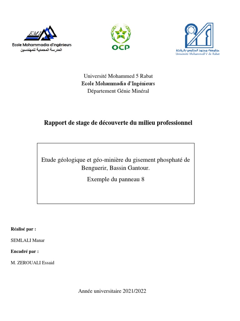 Ocp RAPPORT | PDF