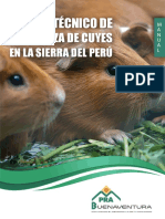 Manual Cuy PDF