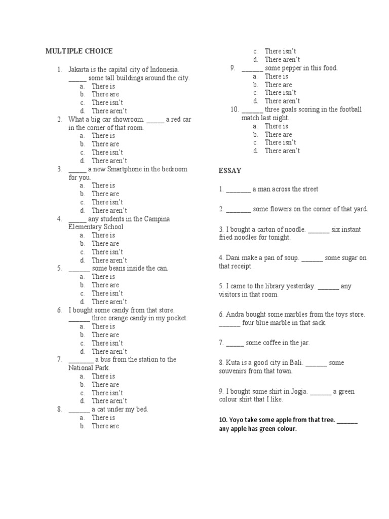 BIG 5 EXERCISE There IsAre Send PDF