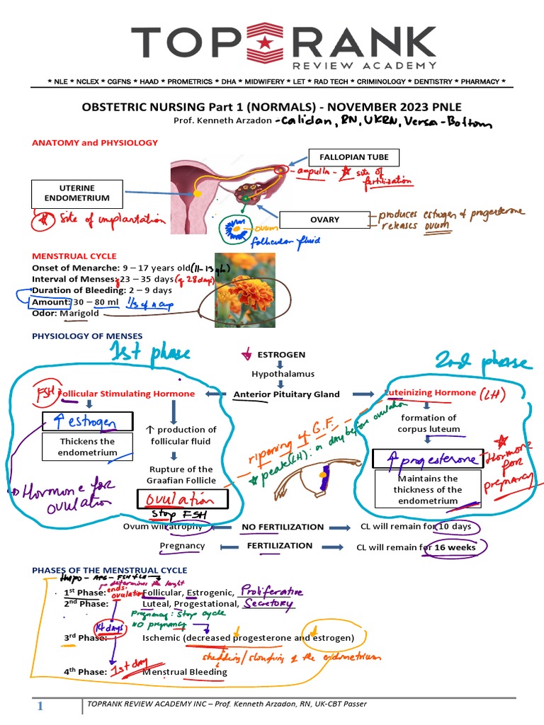 Obstetric Nursing Overview for PNLE 2023 | PDF