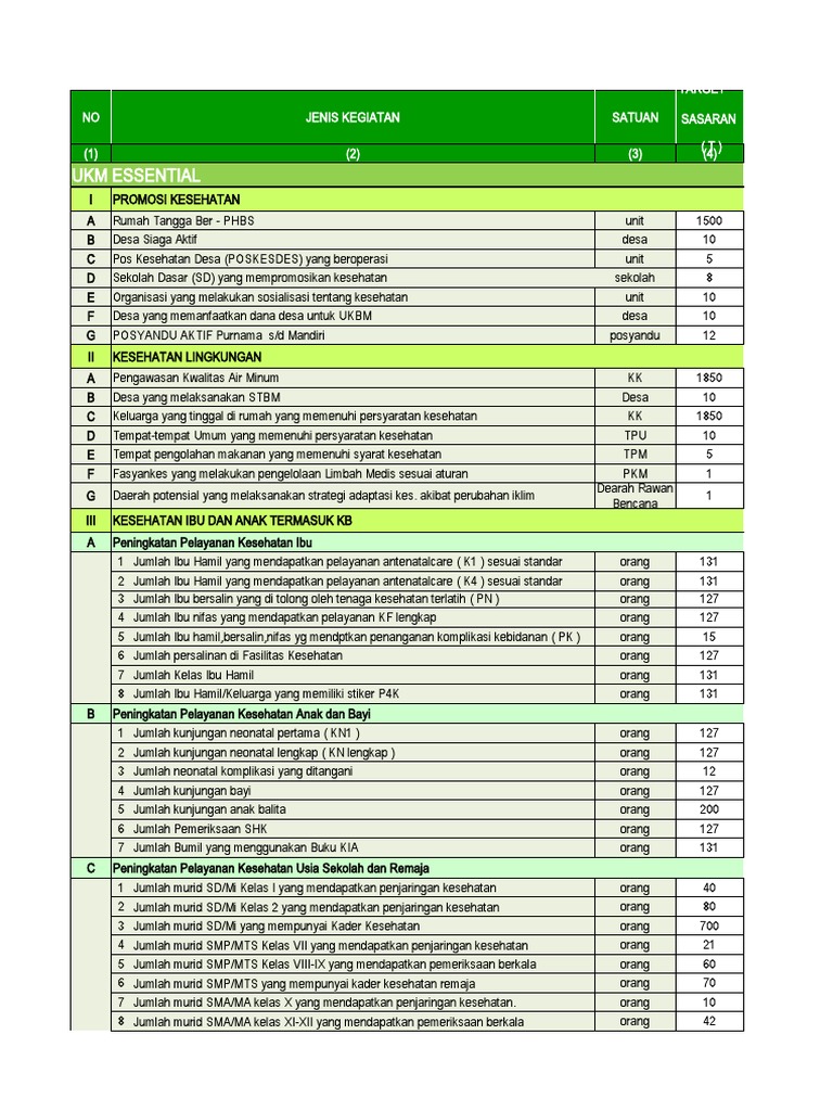Program PKP Puskesmas 2025 | PDF