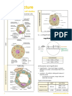 1 Cell Structure