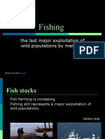 02 Fisheries