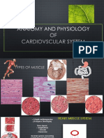 Anatomy Physiology of The CV System