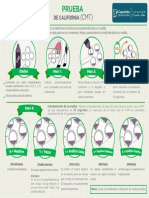 Prueba de California