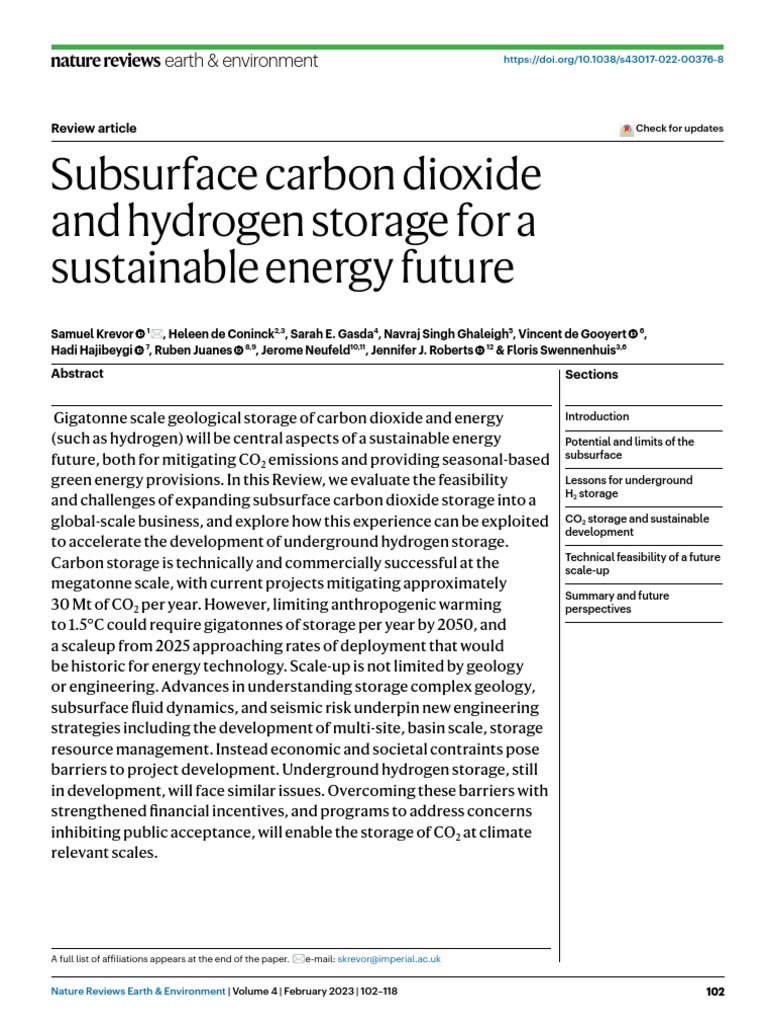 Subsurface Carbon Dioxide And Hydrogen Storage For A Sustainable Energy