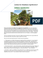 Abundance Agroforestry Corrections