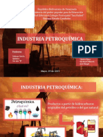 Diapositivas Industria Petroquimica