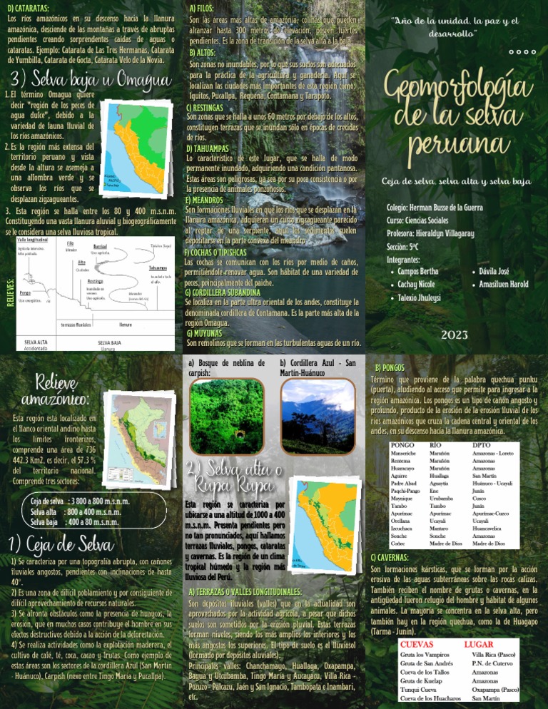 Geomorfología de la Selva Peruana | PDF