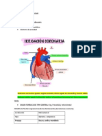 Dolor Toracico