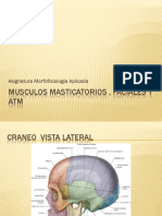 Musculos_masticatorios_faciales_y_atm_-PPT_