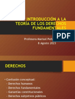 Introducciòn Teorìa Derechos Fundamentales I