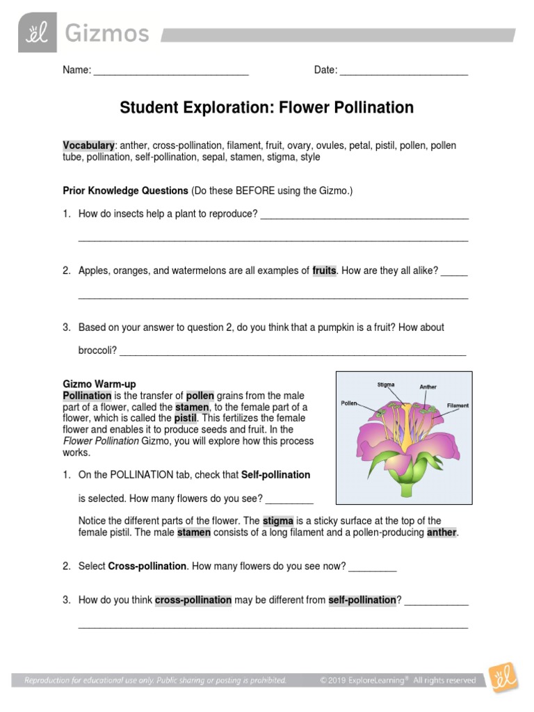 Flower Pollination Se Pdf Flowers Pollination