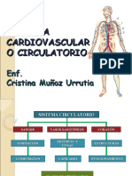 Sistema Cardiovascular - Circulatorio 1