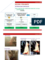 04teorica Carne Tecnologia Pos Abate e Carne in Vitro