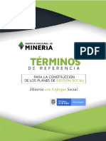 Terminos Ref Elaboracion Planes Proyectos Gestion Social