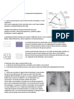 CLINICA Resumen Prueba 2