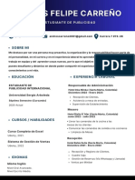 Andrés Felipe Carreño CV