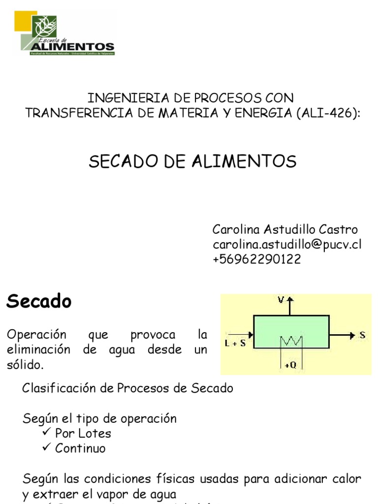 Secado de Alimentos: Procesos y Equipos | PDF | Humedad | Temperatura