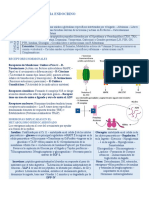 Mi Resumen MIR Endocrinología