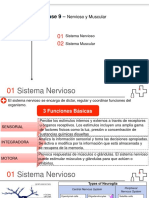 Fisiologia Resumen