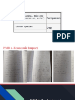 PBM 7-Informative Presentation