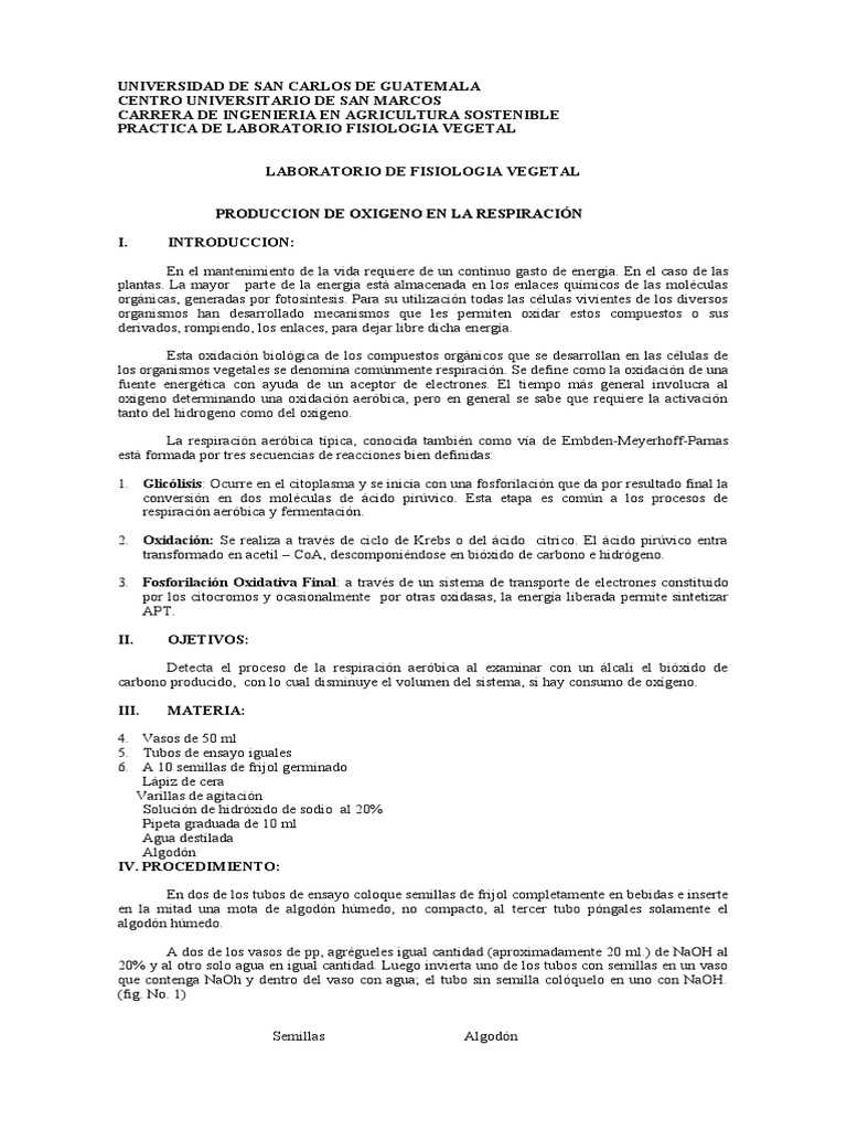 Lab 2 fv pdf