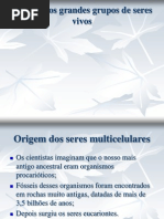 Origem Dos Grandes Grupos de Seres Vivos