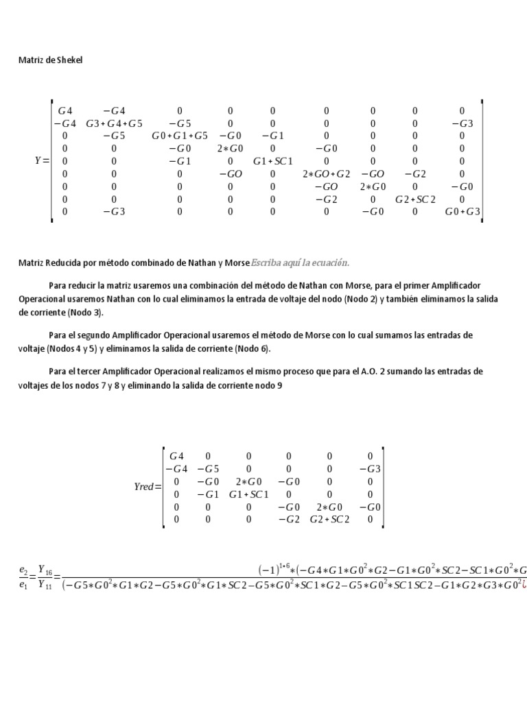 Matriz de Shekel - 1 | PDF