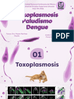 Toxoplasmosis, Paludismo y Dengue