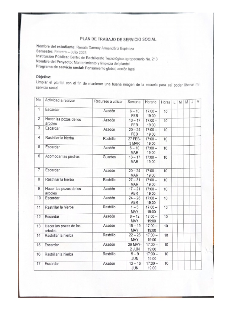 Plan de Trabajo de Servicio Social | PDF