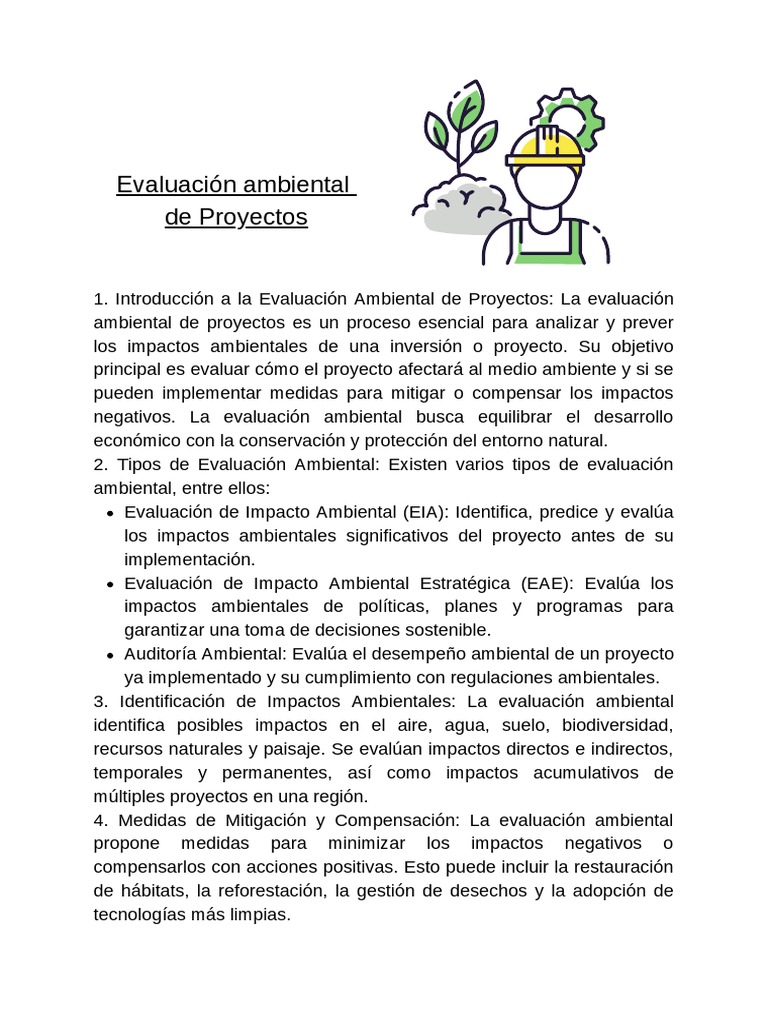 Evaluación Ambiental de Proyectos | PDF | Negocios | Arte