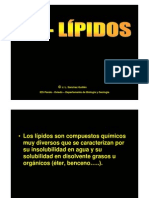 Lípidos