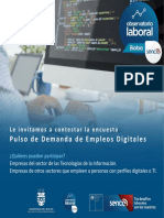 Pulso Digital - Afiche de Difusión
